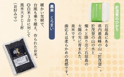 石垣島産お米の食べ比べセット 合計1.1kg【石垣島産 ひとめぼれ】【星の美しゃ】【於茂登のひかり】【黒米】【美味しいお米をうれしい小分けでお届け】KB-15