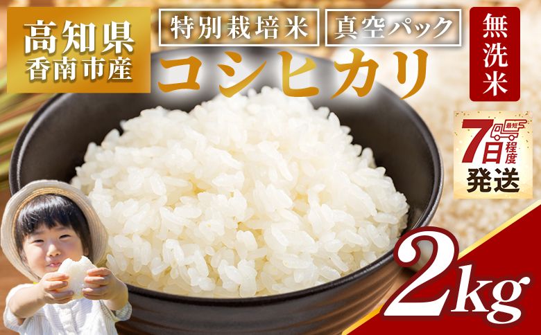 [令和7年産]コシヒカリ 無洗米 高知県香南市産 特別栽培米 真空パック コシヒカリ 2kg [7日程度で発送] - 国産 米 お米 おこめ こしひかり 白米 ごはん おにぎり 防災 非常食 備蓄 農業公社 nu-0001