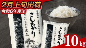 【 2月上旬発送 / 数量限定 】新米 茨城県産 コシヒカリ 精米 10kg (5kg×2袋） 令和6年産 こしひかり 米 コメ こめ 単一米 限定 茨城県産 国産 美味しい お米 おこめ おコメ [CL33-NT]