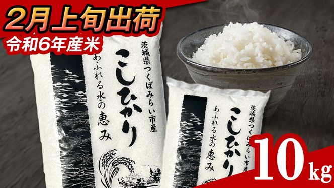 【 2月上旬発送 / 数量限定 】茨城県産 コシヒカリ 精米 10kg (5kg×2袋） 令和6年産 こしひかり 米 コメ こめ 単一米 限定 茨城県産 国産 美味しい お米 おこめ おコメ [CL33-NT]