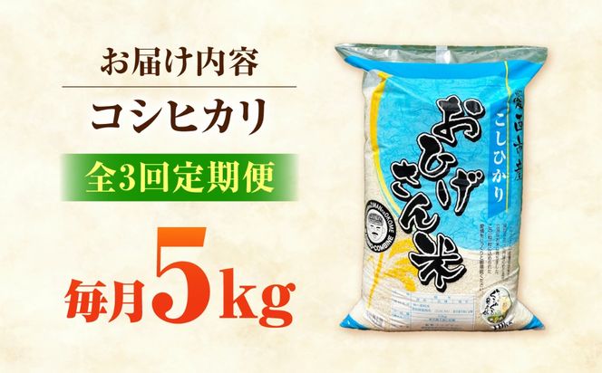 【3回定期便】コシヒカリ 白米 5kg×3か月 / 脇野コンバイン[AECP024]