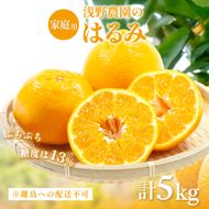【先行予約】【家庭用】はるみ計5kg※離島への配送不可（2027年2月上旬頃より順次発送予定）IKTAC031