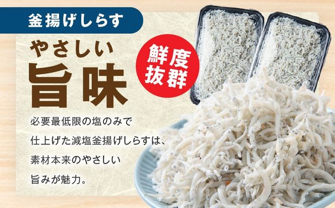 G2182-4 【期間限定】減塩 釜揚げしらす 600g【小分け 150g×4P 漁師直送 シラス 国産 無添加 産地直送 sirasu 海鮮 しらす 鰯 イワシ いわし スピード発送】