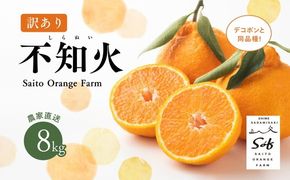 【先行予約】Saito Orange Farmの訳あり不知火8kg ｜ 柑橘 みかん ミカン フルーツ 果物 でこぽん デコポンと同品種 愛媛　※離島への配送不可　※2025年3月中旬頃より順次発送予定