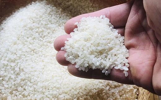 石垣島産 星の美(かい)しゃ 5kg みやぎ米屋【 日本一早い新米の産地 石垣 米 お米 産地直送 旬 ほしじるし 沖縄県 石垣市 】MK-3