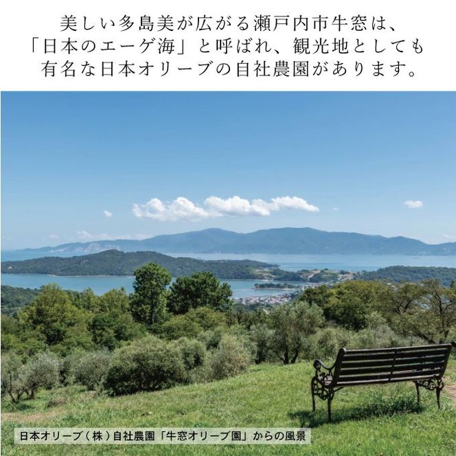 【予約受付】2026年9月〜発送予定　定期便 6ヶ月 エキストラバージン オリーブオイル 大容量 5L ふるさと納税限定品