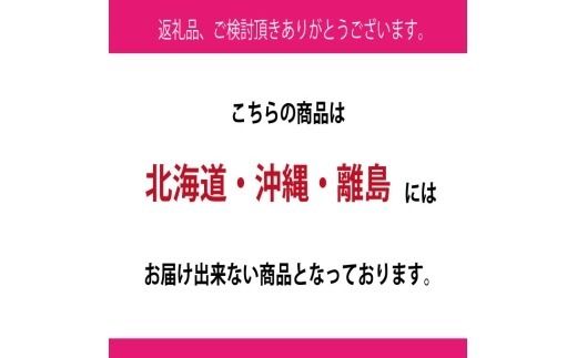 ぶどう 2026年 先行予約 9月・10月発送 シャインマスカット 晴王 2房（合計約1.3kg） ブドウ 葡萄 岡山県産 国産 フルーツ 果物 ギフト