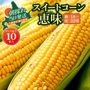 先行受付！【2026年8月頃～発送開始！】北海道十勝清水町産 恵味 サイズ混合 10本 北海道産 2026年 とうもろこし とうきび 産直 産地直送 清水町 北海道_S041-0011
