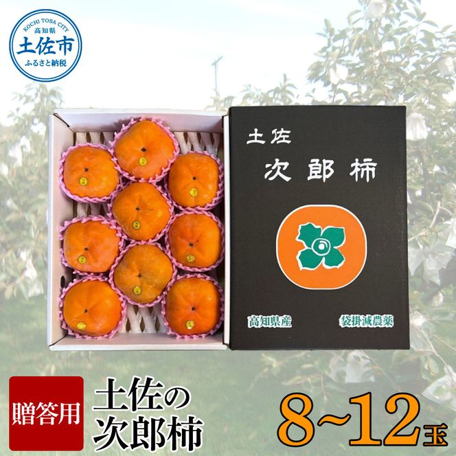 【先行予約】秋の味覚！土佐の袋掛け次郎柿 8～12玉 贈答用〈2026年10月〜発送〉 かき カキ 甘い 美味しい おいしい 果物 フルーツ 常温 ギフト 贈り物 故郷納税 ふるさとのうぜい 返礼品 高知県【嬉龍】