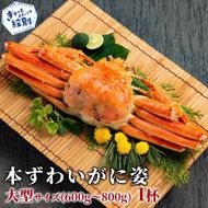 11-231 【訳あり】本ずわいがに姿　大型サイズ1杯 約600～800g