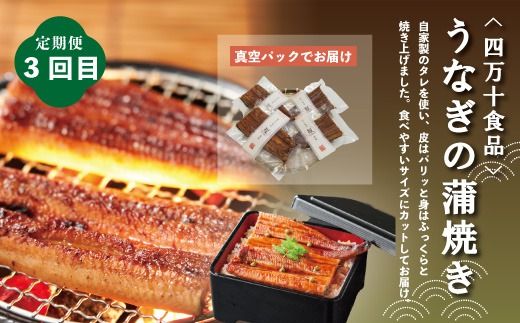 4ヵ月連続 定期便 四万十市 人気 魚介 ＆ お肉 返礼品 第2弾 冷凍 4回 うなぎ 鰻 蒲焼 かつお 鰹 たたき 黒毛和牛 牛肉 肉 サーロイン ステーキ 特選 贅沢 グルメ ごちそう 高知 四万十 しまんと 鶏肉 チキン R7-846