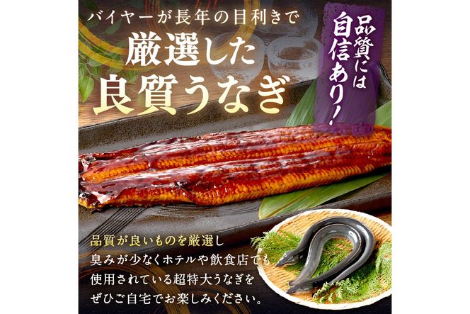 【7月24～26日配送】超特大！ふっくら肉厚！うなぎ蒲焼 1尾 400g前後 ふるさと納税 鰻 外国産 ウナギ 肉厚 蒲焼 鰻の蒲焼 有頭 蒲焼き　YK00402_01