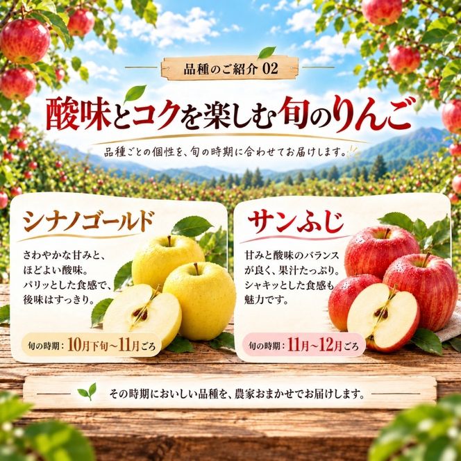 信州の旬のりんごおまかせ 約3キロ（りんご・リンゴ・林檎）| りんご おまかせ 先行受付 予約 長野県 長野県産 信州産 長野県 伊那市 信州のりんご 信州 長野 伊那市産 上伊那 甘い みずみずしい シャキシャキ 約3kg 家庭用 りんご リンゴ 林檎 産地直送 フルーツ 果物 デザート おやつ【012-90】