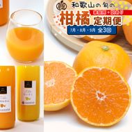 家庭用 柑橘定期便S（7～9月）全3回 ［IKE305］ 303446_BB90214