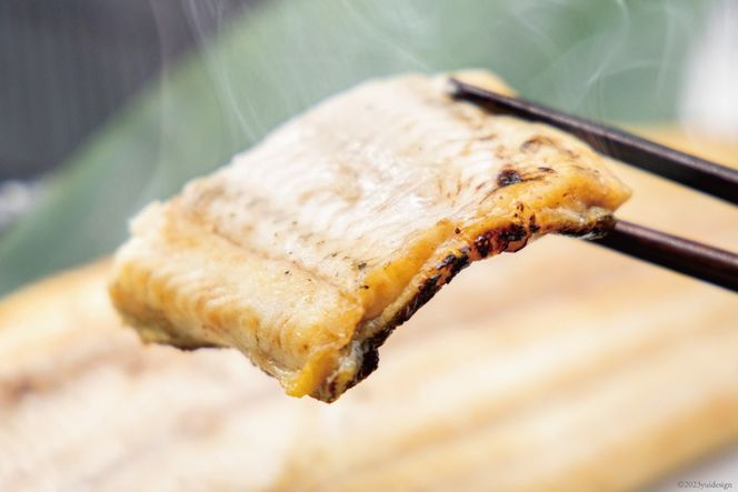 うなぎ 国産 静岡 定期便 蒲焼 2尾 & 白焼 2尾 3回 総計12尾 食べ比べセット [大井川うなぎ 静岡県 吉田町 22424563] 静岡県産 鰻 ウナギ ungai 蒲焼き うなぎ蒲焼き 鰻蒲焼 白焼き タレ たれ 山椒 真空パック 冷凍