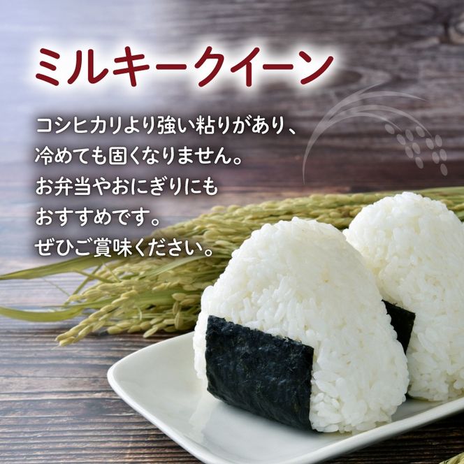 令和6年産 新米 ミルキークイーン 2kg 静岡県産 精米 白米 お米 おこめ ご飯 ごはん 国産 産地直送 静岡県 藤枝市 