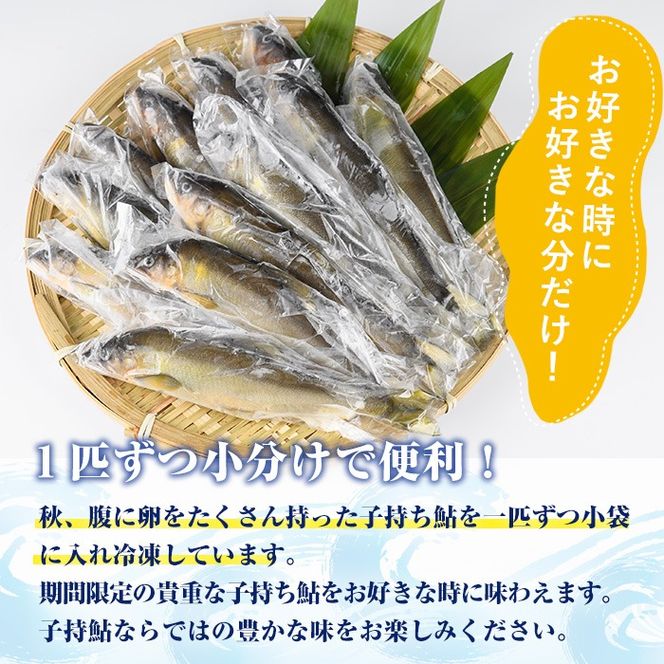 冷凍子持鮎(約1kg・10～14匹) 鮎 冷凍 子持ち鮎 小分け 国産 門川町産 宮崎県産 塩焼き あゆ 川魚 養殖 香魚 【ME-03】【米良水産】