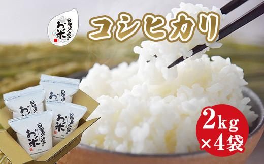 155.日置さん家のお米「コシヒカリ」2kg×4袋【無洗米・2025年産】 313726_AE006VC03