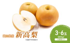 梨 2026年 先行予約 新高梨 3-6玉（約4kg） 化粧箱入り なし ナシ 岡山県産 国産 フルーツ 果物 ギフト