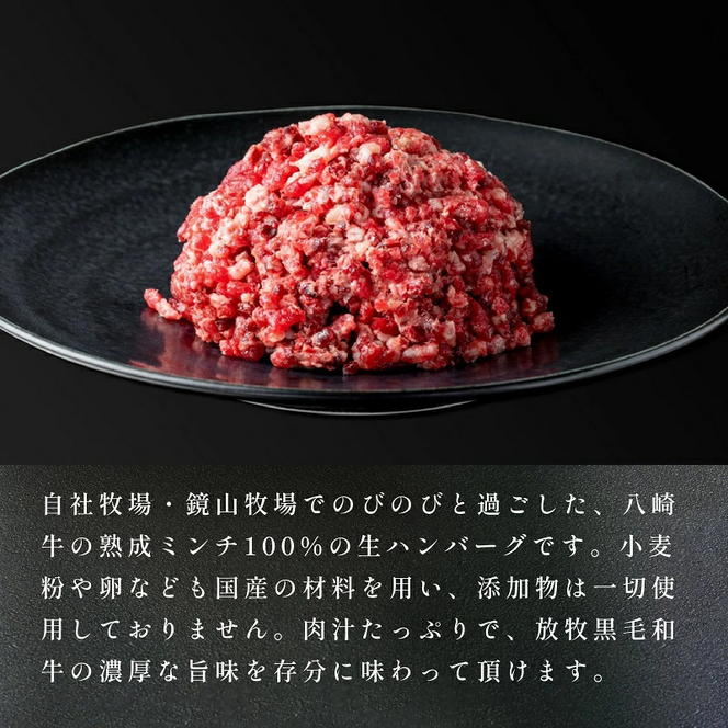 八崎牛のハンバーグ120g×5個 N0105-YZA4408