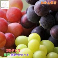 農家直送 3色ぶどう詰め合わせ贅沢セット 約3kg入り ［2026年・先行予約］	AO060  