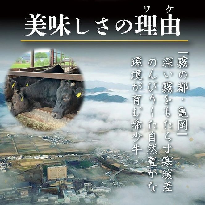 【全6回定期便】亀岡牛 定期便 亀岡牛専門店が厳選 お楽しみ 食べ比べ セット ≪冷凍 焼肉 すき焼き サーロイン ステーキ ローストビーフ 赤身 もも 肉 牛肉 国産牛 黒毛和牛 肉定期便 京都 丹波 BBQ 人気 おすすめ≫ ※離島への配送不可