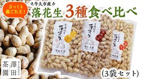 牛久市産落花生3種食べ比べ3袋セット 牛久市産 落花生 3種食べ比べ大小3袋セット Qナッツ Qなっつ 半立 はんだち ナカテユタカ 中手豊 ピーナッツ ピーナツ 食べ比べ おやつ おつまみ お菓子 お取り寄せ 詰め合わせ お土産 贈り物 ギフト プチギフト 国産 茨城 特産品 農園 自家栽培 ビールのお供 [AX001us]