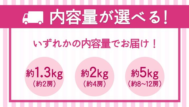 ＼選べる内容量／ クインニーナ 約1.3kg ～ 5kg 【2026年8月より発送開始】（茨城県共通返礼品 [ぶどう]：結城市産） ぶどう ブドウ 葡萄 クインニーナ 種なし 皮ごと 高級 国産 ふるさと納税