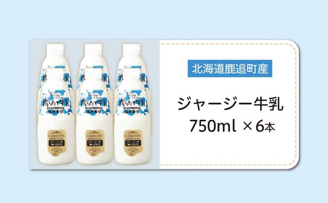 ジャージー牛乳 750ml ×6 SKM050