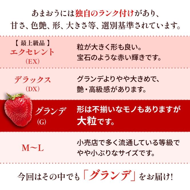 いちご 福岡県産 あまおう 1000g (250g×4パック) 先行予約 2027年1月より順次発送 果物 デザート ※配送不可：離島