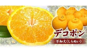  デコ不知火 約2.8kg サイズおまかせ / デコポン 不知火 みかん 蜜柑 柑橘 果物 フルーツ 紀伊国屋文左衛門本舗 ※2027年2月上旬～4月上旬頃順次発送予定(お届け日指定不可)　【kmtb010-r-2d8】