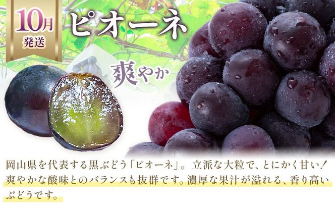 【2026年発送先行予約】ぶどう 3ヶ月 定期便 岡山 の ぶどう 3種 食べ比べ 各700g 計2.1kg 晴れの国おかやま館(漂流岡山)《2026年8月中旬-10月中旬頃出荷》岡山県 笠岡市 桃太郎ぶどう シャインマスカット ピオーネ 果物 フルーツ 送料無料【配送不可地域あり】（離島）---H-50---