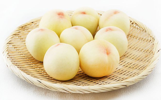 桃 2026年 先行予約 清水 白桃 8玉 （1玉200g以上） 等級：ロイヤル 化粧箱入り もも モモ 岡山県産 国産 フルーツ 果物 ギフト 贈答品 糖度12.0度以上 