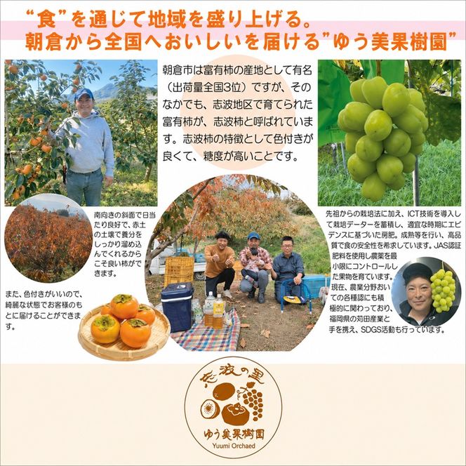 2026年12月発送　訳あり 規格外品　志波の富有柿 約3kg 柿 ※配送不可：離島