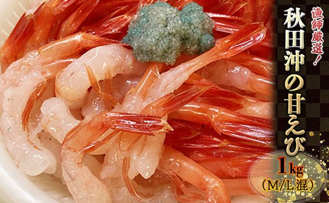 漁師厳選！秋田沖のほっこく赤エビ（甘えび） 1kg 甘海老 あまエビ 海老 