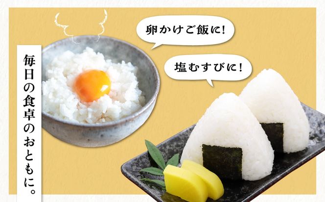 【R7年産】糸島産 夢つくし 2kg 糸島市 / 三島商店 / 白米 お試し[AIM085]
