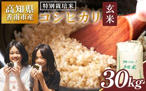 【令和8年産】玄米 特別栽培米 コシヒカリ 玄米 30kg  国産 米 お米 おこめ こしひかり 玄米 ごはん おにぎり おむすび ご飯 農業公社 高知県 香南市 常温 nu-0010