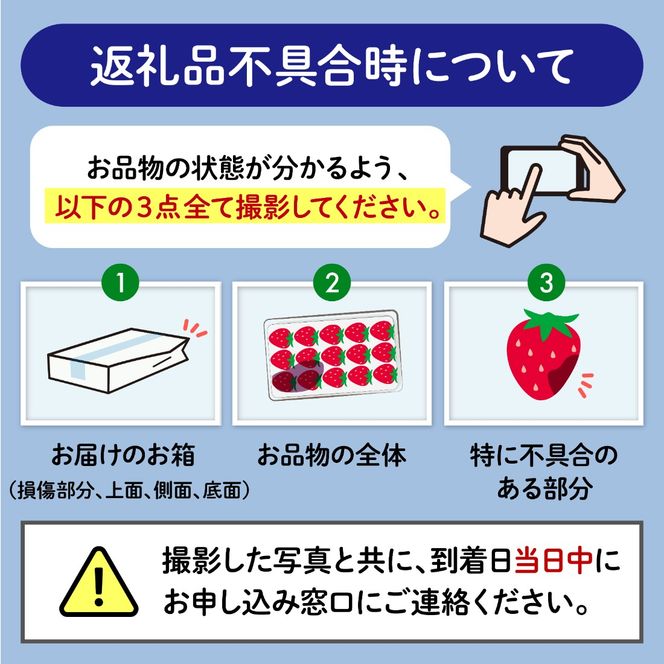 【 先行予約 ：2027年1月～4月配送】 やよい姫 約920g 230g×4パック いちご 完熟 苺 産地 直送 フレッシュ イチゴ 贈答 フルーツ 果物 国産 静岡 期間限定 数量限定 苺 イチゴ 旬 フルーツ 果物 くだもの 春 静岡県 藤枝市