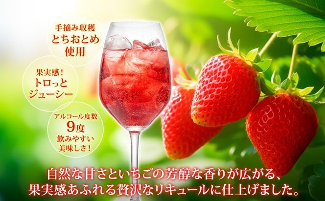 化粧箱入り 熨斗付き いちごのお酒 「太陽の物語」500ml2本セット とちおとめ リキュール 洋酒 いちご 苺 果実 果物 フルーツ アルコール ジューシー 炭酸割 ロック 宅飲み お取り寄せ ギフト こだわりお祝い  瓶 引っ越し祝い 関根国太郎商店