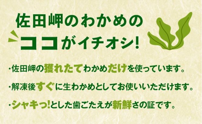 【佐田岬・漁師直送】佐田岬の生わかめ（200g×10P) ｜ 藻 魚介類 食品 味噌 西宇和産 味噌汁 酢の物 サラダ 簡単調理 手軽 人気 木嶋水産 ※離島への配送不可