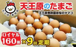 【定期便】9回定期 【天王原のたまご】 ロイヤル卵160個入り【定期便 9回定期便 セット たまご 卵 玉子 タマゴ 濃厚 ハリ 弾力 ボリューム 甘味 旨味 卵黄 風味 生 コク 甘味 卵かけご飯 卵焼き 目玉焼き オムレツ 茶碗蒸し お菓子作り パンの材料】