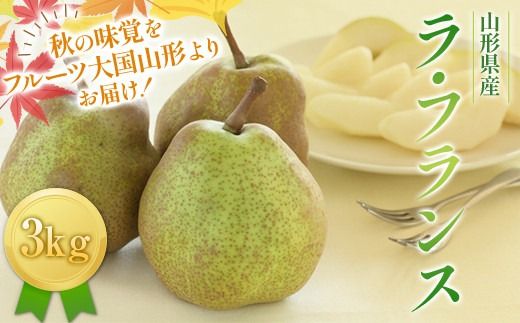 FYN6-427 ≪2026年先行予約≫山形県産 西洋梨 ラ・フランス 3kg (8～12玉) 2026年11月中旬から順次発送 洋梨 洋なし ラフランス 秋果実 果物 くだもの フルーツ ギフト 産地直送 山形県 西川町 月山
