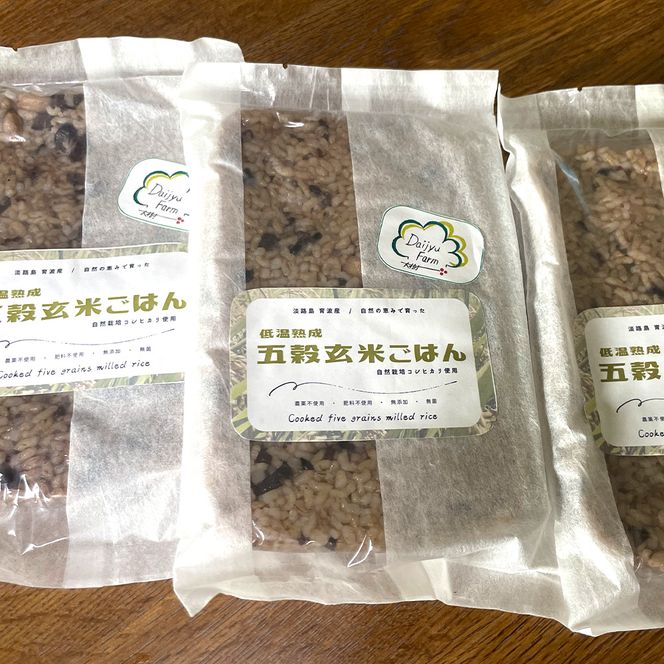 レトルトごはん（五穀玄米） 10パックセット 化学調味料無添加・無菌