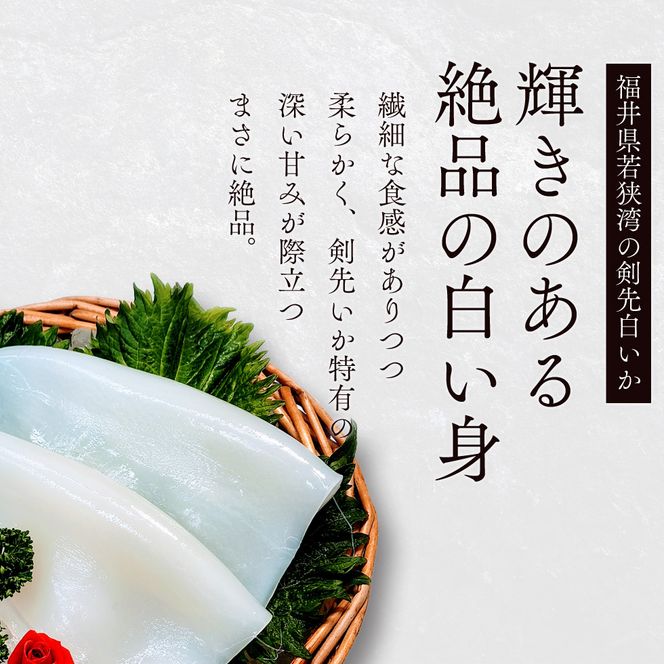 期間限定 剣先イカ 3～6杯 セット 詰め合わせ スミ抜き 冷凍 白イカ イカ 烏賊 いか 魚介 魚介類 海鮮 海鮮セット 限定 福井 福井県 若狭町