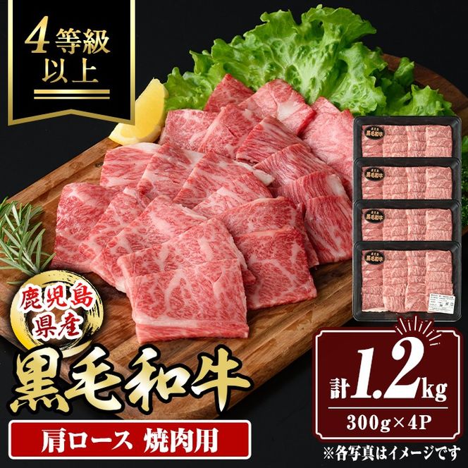 isa882 鹿児島県産黒毛和牛 肩ロース焼肉用(計1.2kg・300g×4P) 4等級以上！ 国産 牛肉 霜降り 国産 牛肉 霜降り 家庭用 冷凍 【サンキョーミート】