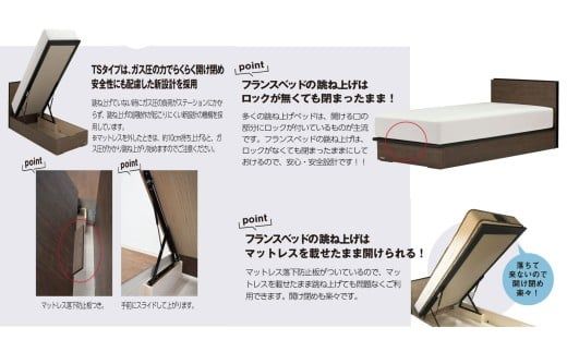 フランスベッド BG-001（跳ね上げ収納タイプ 260mm）シングル／セミダブル／ダブル