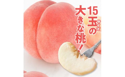 【数量限定】 しのおかの大きな桃(白鳳・秀クラス）[017O01]