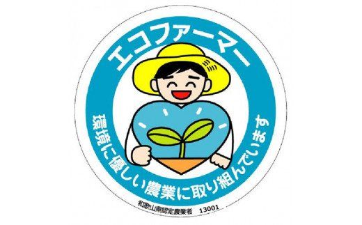 採れたてタネなし柿“Lサイズ”7.5kg＜2026年10月中旬～10月下旬頃発送予定＞【art001A】