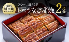 うなぎ【名店の味！宮崎県産鰻】 ひむか山道うなぎ蒲焼２尾分（260ｇ以上） 【 魚介類 鰻 惣菜 かば焼き 】ⅠⅤ[B08410]