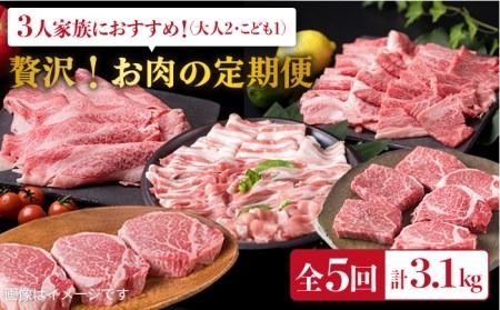美味しさ 満載 ！ 贅沢 お肉 セット の 定期便 全5回（月1回） 3人 家族用 【福岡 糸島産 牛肉 豚肉 鶏肉 ステーキ しゃぶしゃぶ すき焼き ヒレ シャトーブリアン ロース 】 糸島 / 糸島ミートデリ工房 [ACA084] すき焼き 定期便 切り落とし しゃぶしゃぶ ステーキ 焼肉 赤身 黒毛和牛 国産